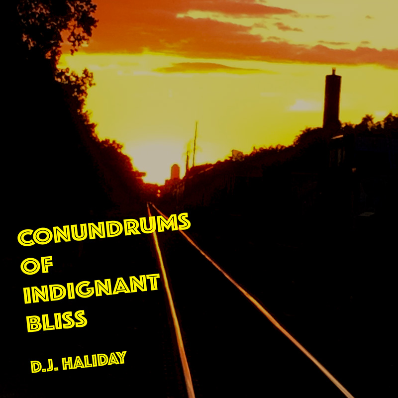 Conundrums of Indignant Bliss by DJ Haliday